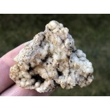 Chalcedon